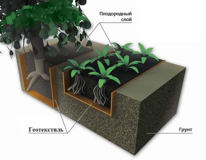 Применение геотекстиля для ограничения роста корней растений