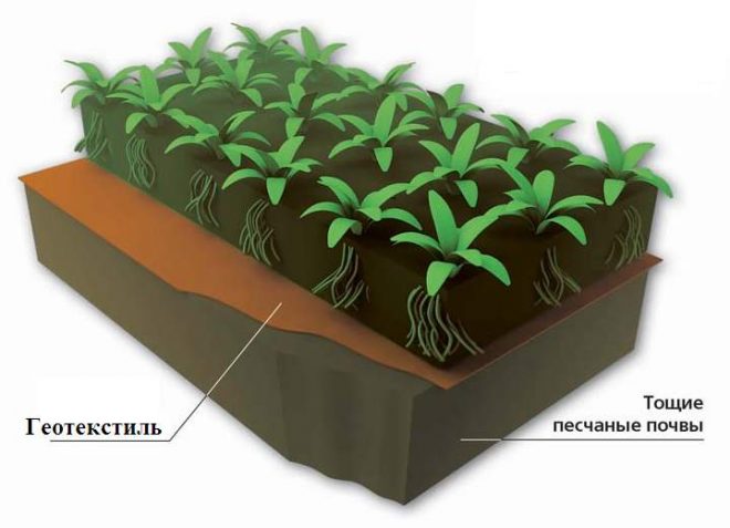 Геотекстиль служит для предотвращения вымывания и загрязнения плодородных почв. 