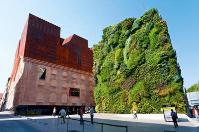 вертикальное озеленение стен фото 