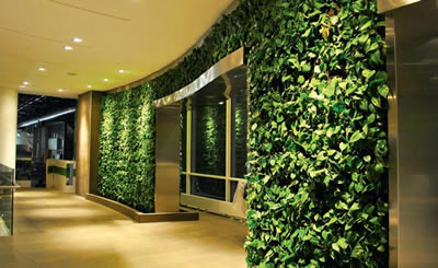 озеленение внутренних стен зданий - фото